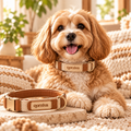 qorziva™ Premium Soft Pet Collar